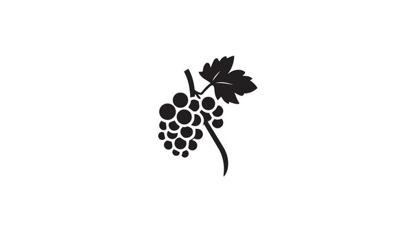 recommend clip art: grapes fruit line art logo black simple on white background