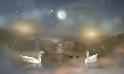 patos en un lago con cielo nocturno, la luna creciente en un ambiente magico con estrellas © GiMuzzo