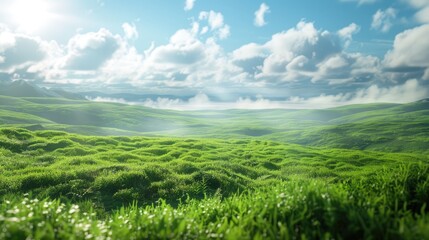 Scenic view with lush grass field