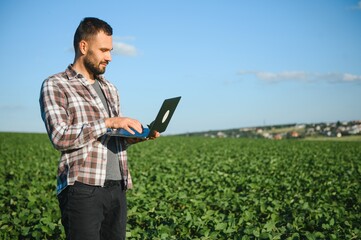 Fototapeta premium Young handsome agriculture engineer squatting in soybean field with laptop in hands in early summer
