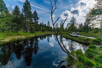 Family hike in the Wildrosenmoos Westallgau water trail near Oberreute Sulzberg