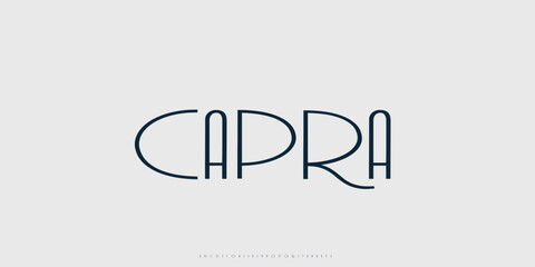 Elegant Vector Alphabet Letters Font - Classic Modern Serif Lettering for Minimal Fashion
