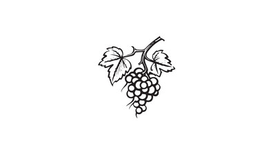 grapes fruit line art logo black simple on white background