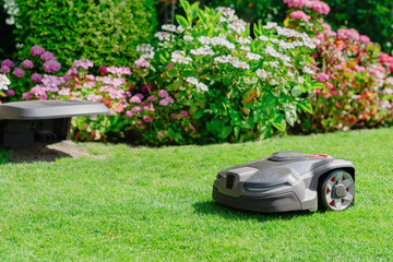 Robotic Lawn Mower In Garden