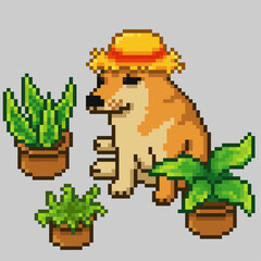 Obraz premium Dog plant lovers, pixel art meme