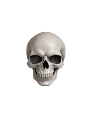Obraz premium human skull isolated on white, halloween 