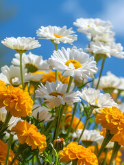 yellow flowers on blue sky