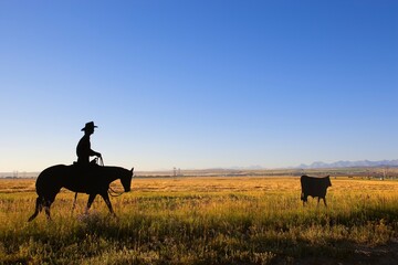 Cowboy Rounding Up A Cow