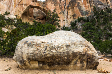 Large boulder in front of La Ventana natural arch.