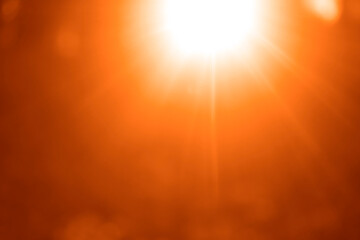 Beautiful natural blurry soft gold sparkling sunlight bursting through yellow autumn fall defocused branches of golden trees growing outside. sunrays beam. sun rays beams. solar power. dark background © Maxim Chuev