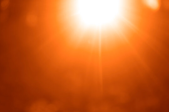 Beautiful natural blurry soft gold sparkling sunlight bursting through yellow autumn fall defocused branches of golden trees growing outside. sunrays beam. sun rays beams. solar power. dark background