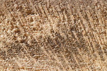 Pattern of sandstone, abstract background closeup