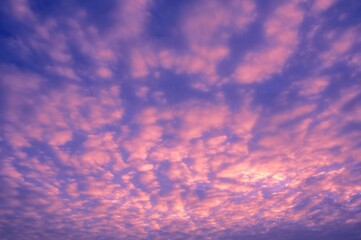 Pink Clouds