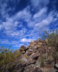 Rocks With Ancient Petroglyph Rock Art, Near Three Rivers Petroglyph National Recreation Site