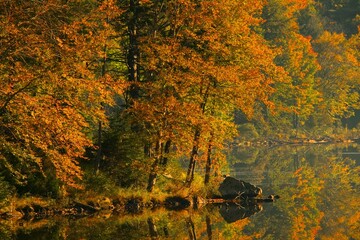 Obraz premium Autumn Scenic