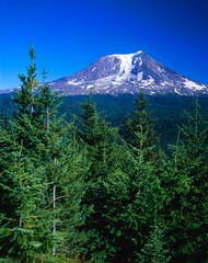 Fototapeta premium Mount Adams, Gifford Pinchot National Forest