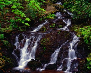 Fototapeta premium Seasonal Waterfall And Spring Foliage