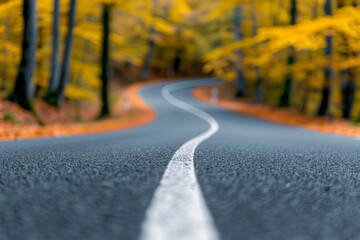 Fototapeta premium A road with a white line down the middle