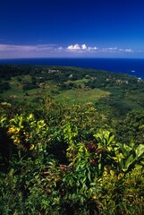 View Of Pacific Ocean From Keanae Peninsula