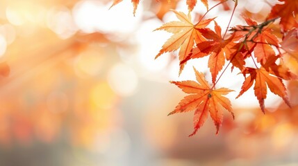 A leafy tree branch with a few leaves on it