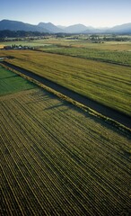 Aerial Shot Of British Columbia Agriculture