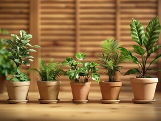 Fototapeta premium Indoor Plants, Houseplants, Green Plants, Potted Plants, Living Plants, Plant Decor, Home Decor, Natural Plants, Green Living, Plant Care, Tropical Plants, Foliage Plants, Indoor Greenery, Plant