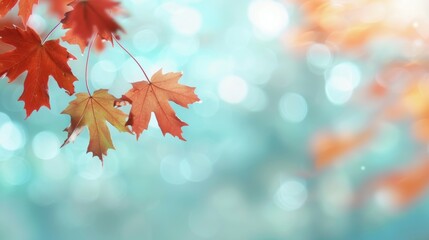 Fototapeta premium A leafy tree branch with a few leaves on it