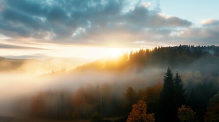 The sun is setting over a foggy forest, casting a warm glow over the trees