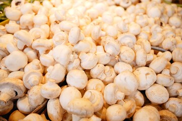 Mushrooms