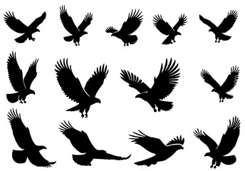 Naklejka premium set of Eagle 