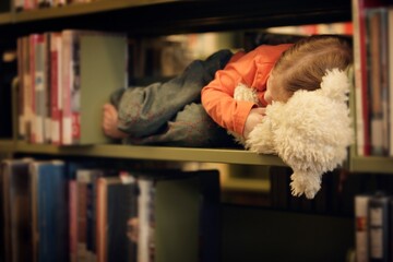 Toddler Falls Asleep In A Book Shelf