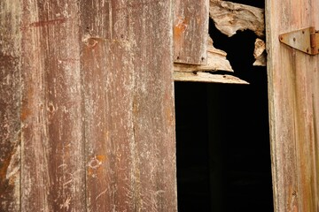 Old Weathered Door