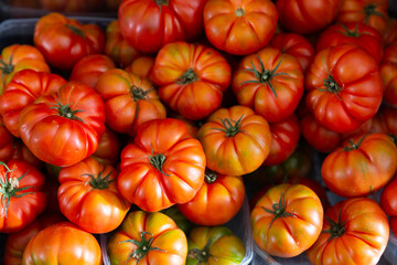 Harvest of ripe fresh tomatoes, displayed for sale in the store on the counter