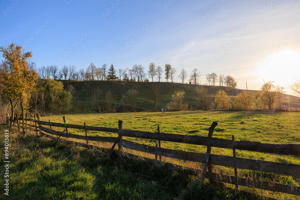 Wall mural A fence separates a field from a forest