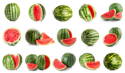 Set of many ripe watermelons on white background