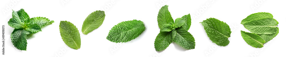 Wall mural Set of green mint leaves isolated on white, top view