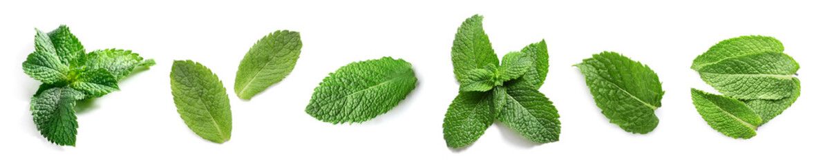 Set of green mint leaves isolated on white, top view