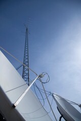 Satellite Dish's