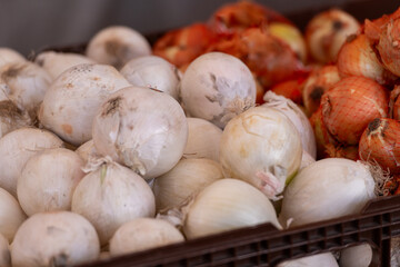 A bunch of white and yellow onions on display at a farmer's market. The whole raw onions have thin papery skin. The yellow onions are in red mesh bags. The sweet onions are large and yellow are small