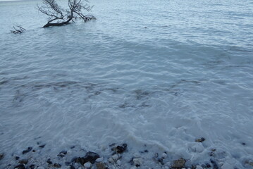 Møns Klint, Kreidefelsen, Klippen in Dänemark