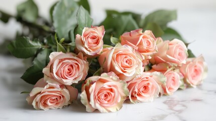 Soft and Delicate: Light Pink Roses in Full Bloom