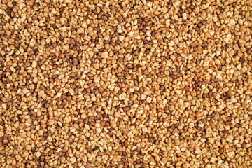 Texture of raw buckwheat grains as background