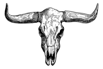 bull skull engraving black and white outline