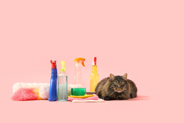 Cute cat with cleaning supplies lying on pink background