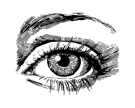 recommend clip art: woman beautiful eye engraving black and white outline