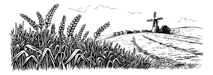 wheat field engraving black and white outline