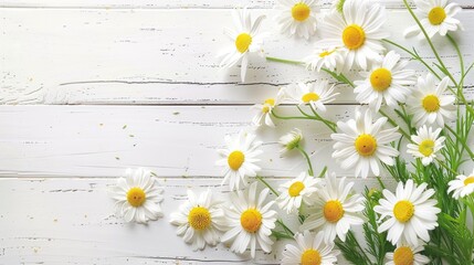 Fototapeta premium Chamomile flowers arranged on white wooden surface with space for text