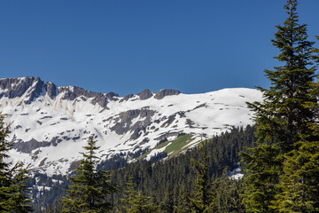 snow covered mountains