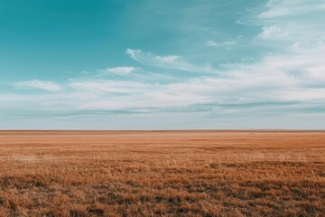 Fototapeta premium Wide open plains under a big sky, banner, with copy space