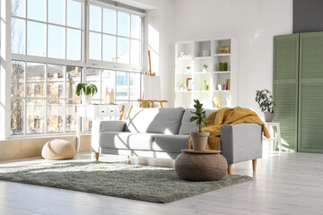 Interior of light living room with grey sofa, houseplants, window and shelving unit